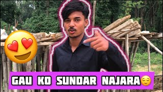 GAU JADA KO RAMAILO PAl | RAJ VLOG