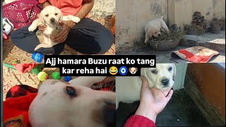 Ajj hamara Buzu raat ko tang kar reha hai 😂🧿🐶 full vlog enjoy 