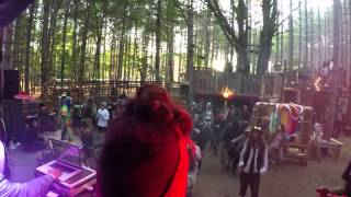 Electric Forest sunrise set with Mr. Carmack feat The Fungineers and Honeycomb at The Grand Artique