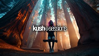 #297 KushSessions (Liquid Drum & Bass Mix)