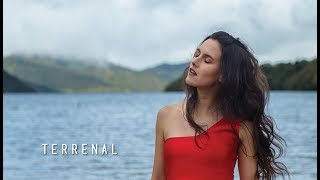 Dimara - Terrenal (Official Video)