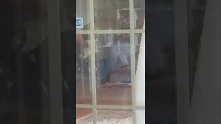 The Next Generation of guitar player