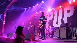 Guilt Trip - PUP