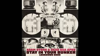 Adam Stone & DEAD SEA APES - Stay In Your Bunker: Lockdown 2020