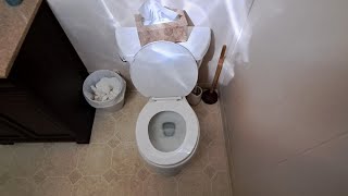 687: Kohler Wellworth Ingenium Toilet - Church Restroom 🚻