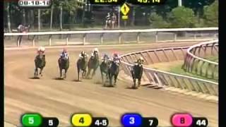 Orb   Debut Race   2012 Saratoga Maiden Race