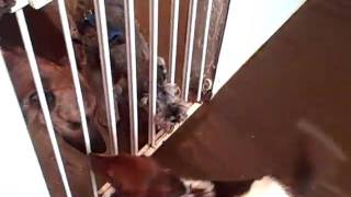 Video 10