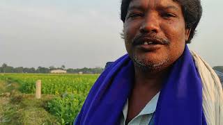 তোমায় দেখতে লাগে ভালো।  আহলে বাইত ফাউন্ডেশন এর গান। #গোলাম_মেহুদী_হাসান #আলেক_চাঁন #মানিকগঞ্জ