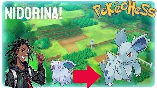 Let’s play Pokechess Episode 2: NIDORINA!