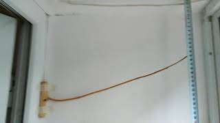 Simplest Weather Prediction Device (Weather Stick)