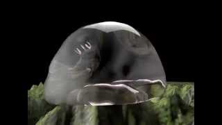 Jelly Fish like blob!