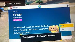 Live Shiny Random Fidough
