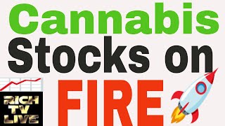 Cannabis Stocks on FIRE