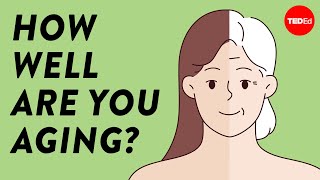 The 3 best predictors of how well you’ll age - Juulia Jylhävä