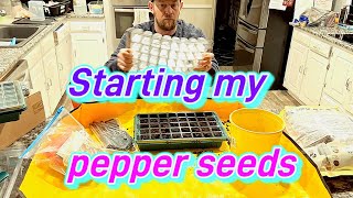 Seed starting with my new greenhouse seed starting tray.