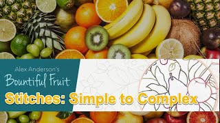 Alex Anderson LIVE - Embroidery Class #8 - Stitches: Simple to Complex