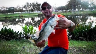 Cypress Mill Pond | Bass Fishing Cypress Mill Pond