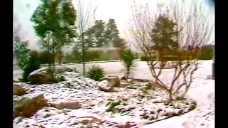 Stanthorpe Snow - 1984