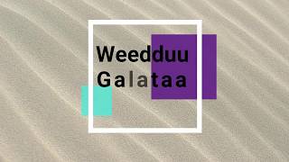 Weedduu Galataa