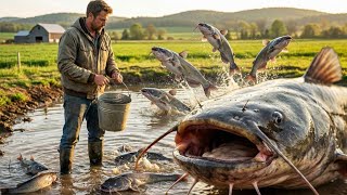 Catching Jumbo Catfish in a Deep Hole | Eels, Koi, Snakehead & Turtles Inside