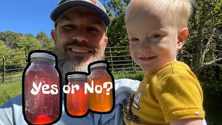 Can babies have honey?