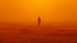 Cristroxx - 2049 (Blade Runner 2049 edit)