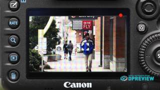 Live View Subject Tracking on the EOS 7D Mark II
