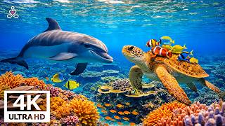 Deep Blue Ocean 4K ULTRA HD – Peaceful Sea Animals & Gentle Melodies