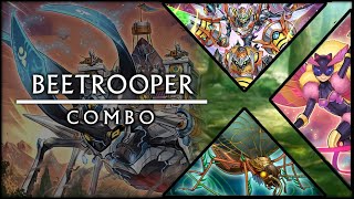 COMBO: Beetrooper Insect 2024