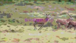 skzyp.md - Moving Parts