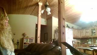 ~ Wichita Lineman ~ (Glen Campbell 1968) Written in 1968 by the remarkable Jimmy Webb
