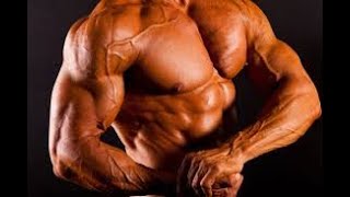 The Go Getters No Pain No Gain Workout Motivation with music 2021