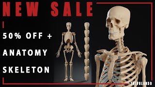 NEW ANATOMICAL SKELETON + BLACK FRIDAY SALE!!!