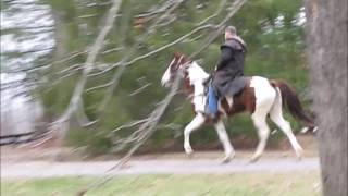 #2-- Lillie & CJ ----TRAFFIC! STRONG WIND! - GAITS! - SHE IS AMAZING!