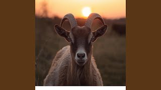 GOAT