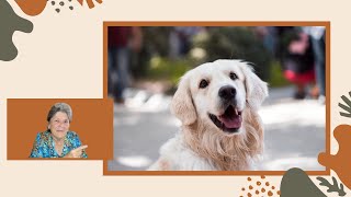 Life After 60 Why a Pet Might Be the Best Decision You’ll Ever Make