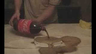 Shamwow Parody