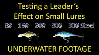 Does a Heavy Leader Kill Your Fishing Lure Action? - Underwater Test