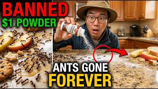 $1 Powder DESTROYED Entire Ant Colony in 24 Hours. BANNED in 12 States. Exterminators HATE This