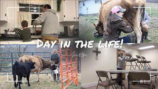 DAY IN THE LIFE! From milking a cow, furniture flipping, to running a HVAC business!