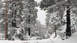 Live Oak Drive during Winter Storm