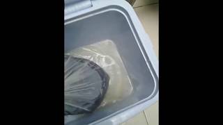Live fresh fish cutting/Cutting with Fresh Fish.