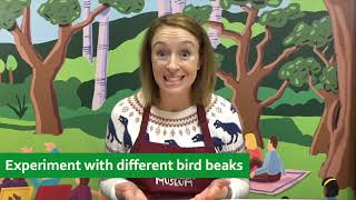 All About Animals - Virtual Field Trip Trailer, Kohl Children's Museum 2020-21