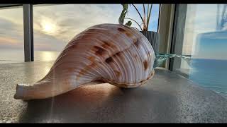 Beachfront Apartment Bat Yam, breathtaking views