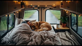 Cozy Vanlife Rainy Night Ambience — Sleeping with Dog | Warm Lights & Relaxing Rain Sounds
