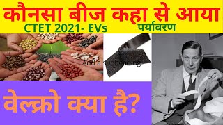 Where did the seed come from? कौनसा बीज कहा से आया? Evs important topic. #ctet #prabhatstudyadda