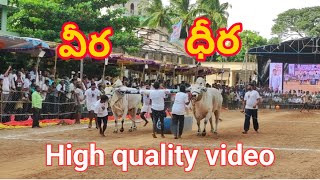 1st 🏆🏆🏆DVR Memorial Bull's Kanuru....in tanuku