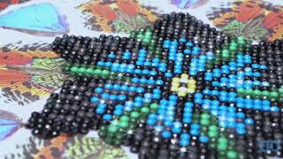 Diamond Dotz at Home - Butterfly Fantasy