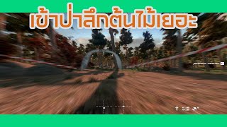 LIFTOFF # EP7 PINE VALLEY-FOREST FOR THE TREES 17 04 2022