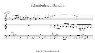 Schnabulescu Bandini